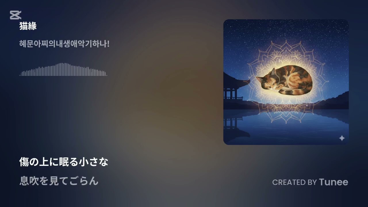 묘연(猫緣)..종교,윤회,위안,사색,사랑,이별,그리움..가슴시린 감성 발라드/감미로운 선율(연속 3회 듣기)"JENA'S MUSIC"