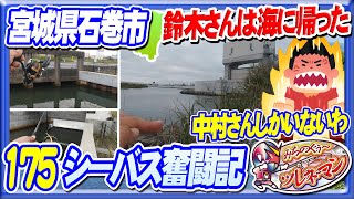 【シーバス奮闘記175】鈴木さんはもう海にお帰り彡中村さんしかいないとさ【バカ川】