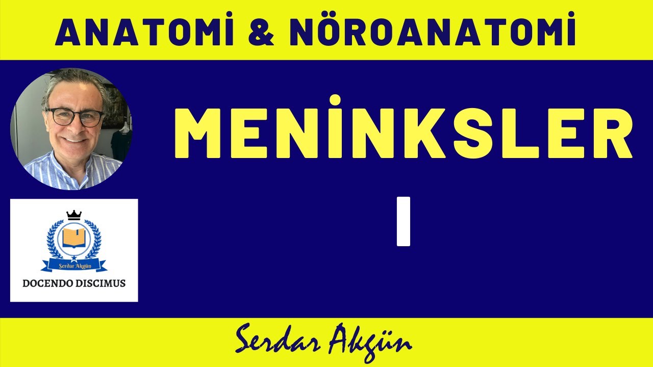 Meninksler , I, Anatomi, Nöroanatomi,, Serdar Akgün, Tıp Dersleri, Serdar Akgün Videoları