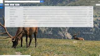 1701 Google Calendar Lab Function screenshot 5