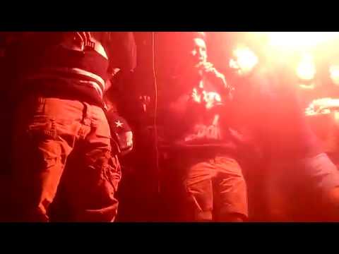 فيجو وفيفتى ونموسه من فرحة كومش خاربين الدنيا