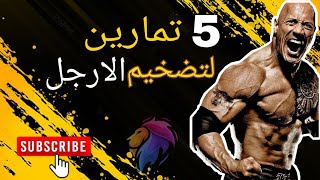 افضل 5 تمرين ارجل التظخيم _كمل الاجسام _استهداف كل  العظلات الارجل_ The best 5 exercise of amplifica