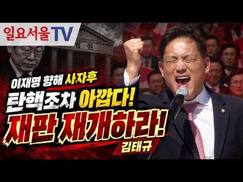이재명 향해 사자후 날린 김태규 "탄핵조차 아깝다! 재판 재개하라!"