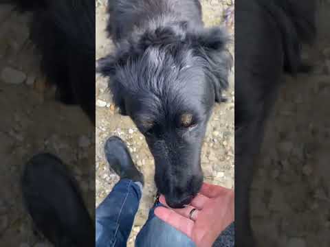 Leora und Denver