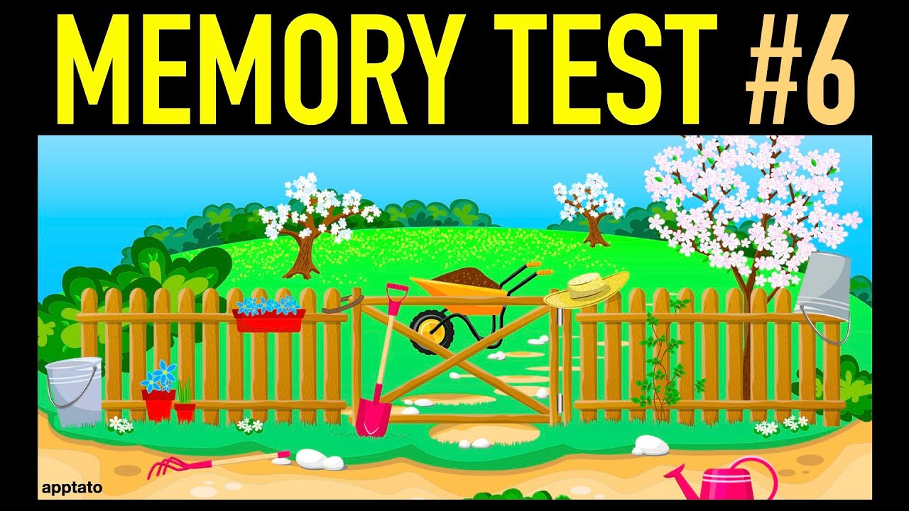 VISUAL MEMORY TEST #6 - Visual Memory Training Game - YouTube