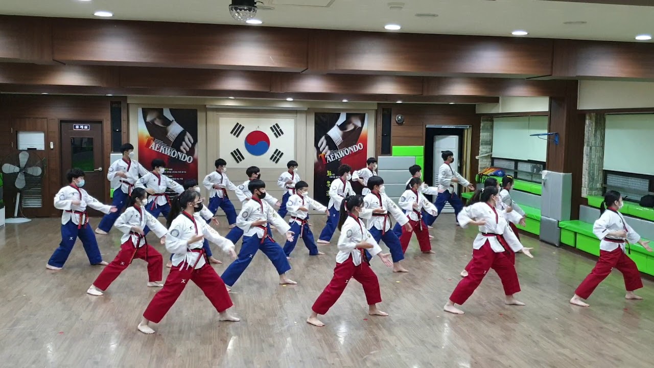 보성태권도 선수단 태권체조(빌리버)