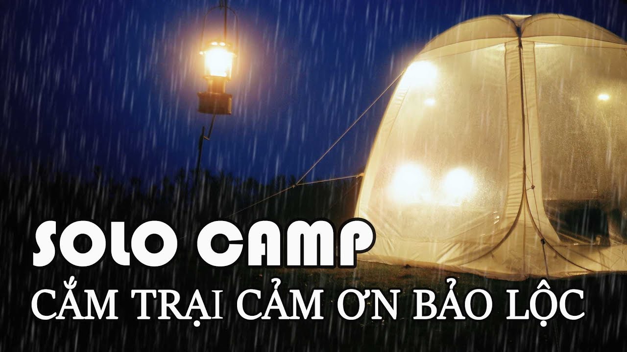 Кемпинг «Спасибо, Бао Лок» | Поднимитесь на вершину холма, чтобы увидеть город |Зелёная трава