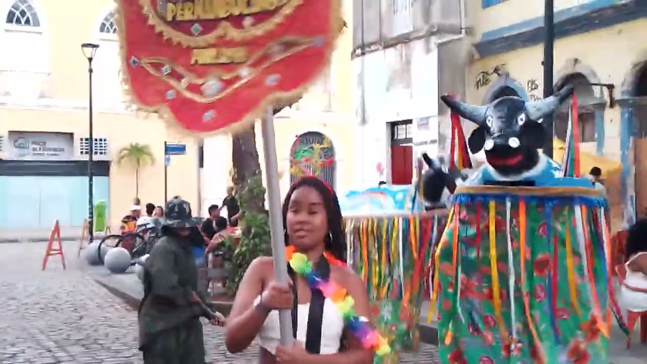 BOI CALEMBA PERNAMBUCANO (25.01.2026)