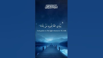 سورة النور _ نور على نور مع تلاوة خاشعة للقارئ شريف مصطفى