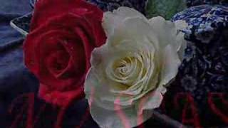 My Love Only Her Voice