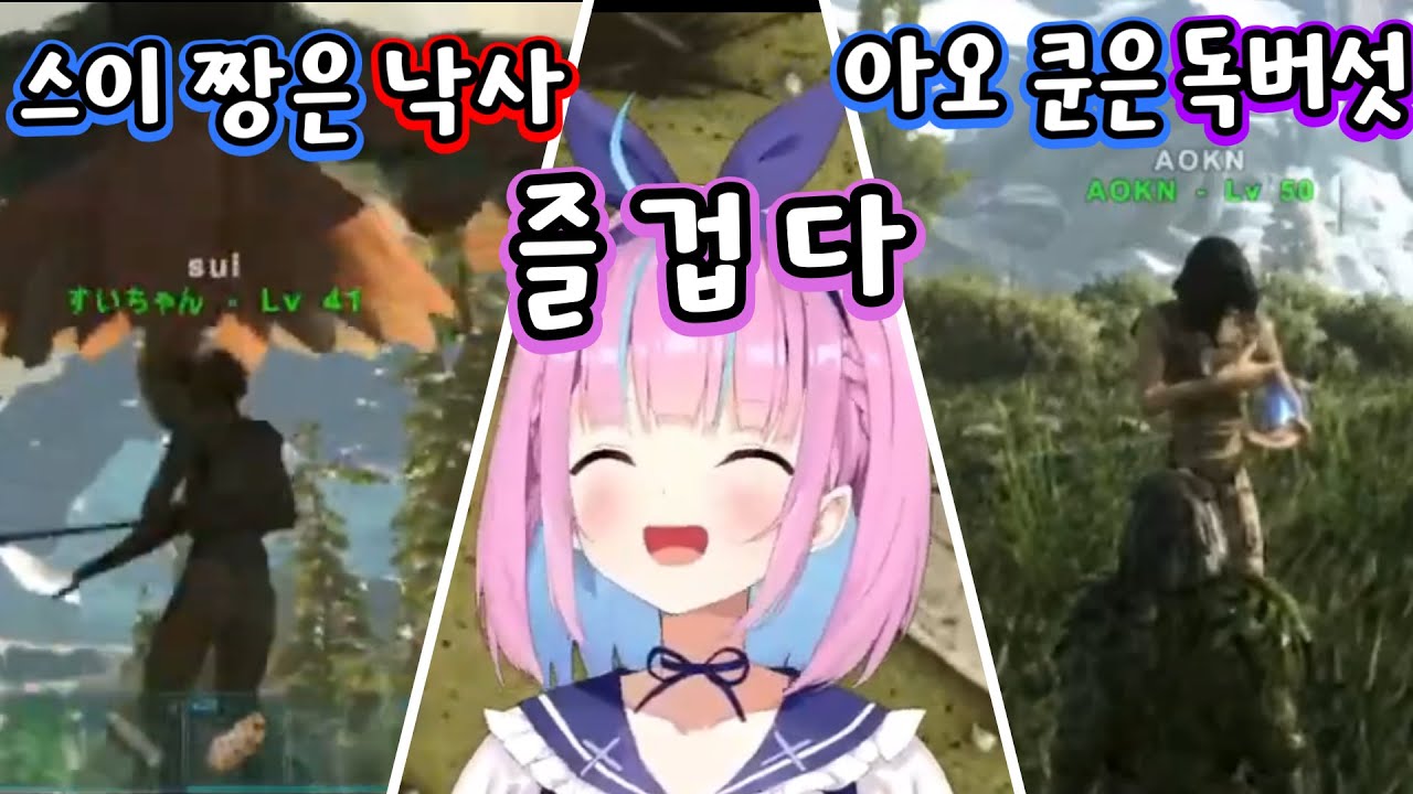 야생의 양파는 아주 사납습니다 [홀로라이브 / 미나토 아쿠아 / 히오도시 아오 / 호시마치 스이세이]