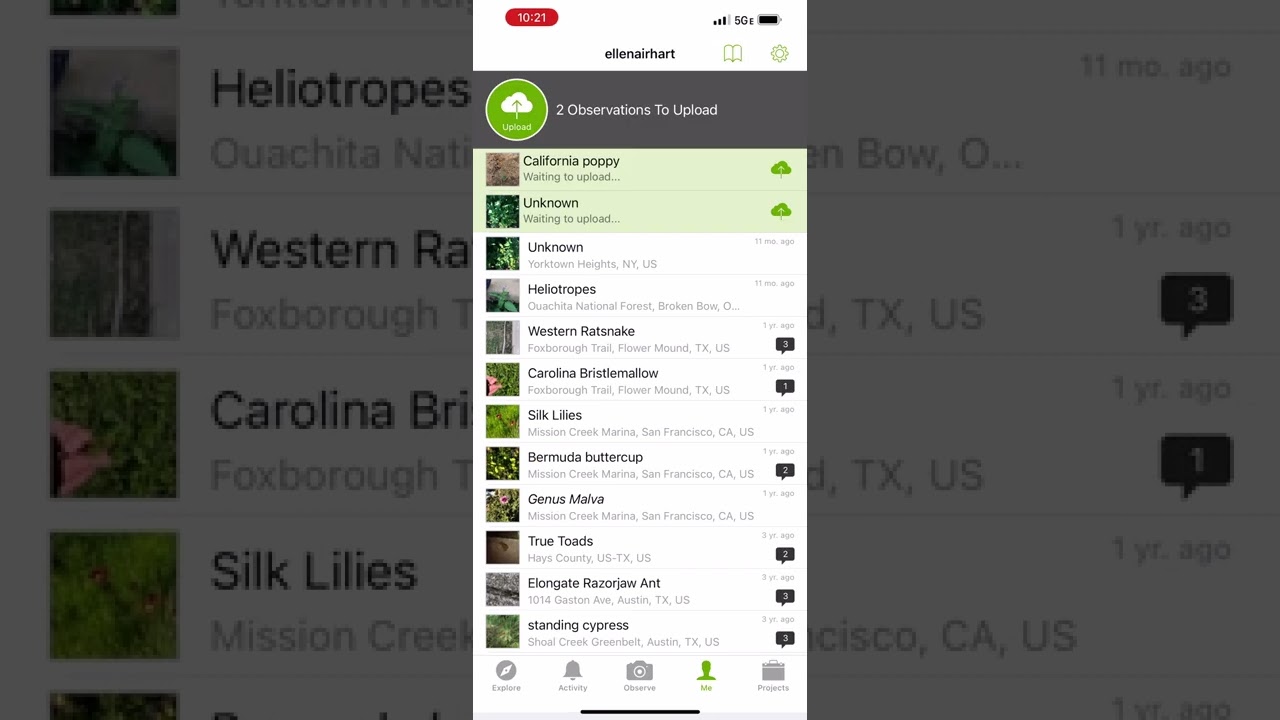 The 2 Best Plant Identification Apps | Reviews by Wirecutter