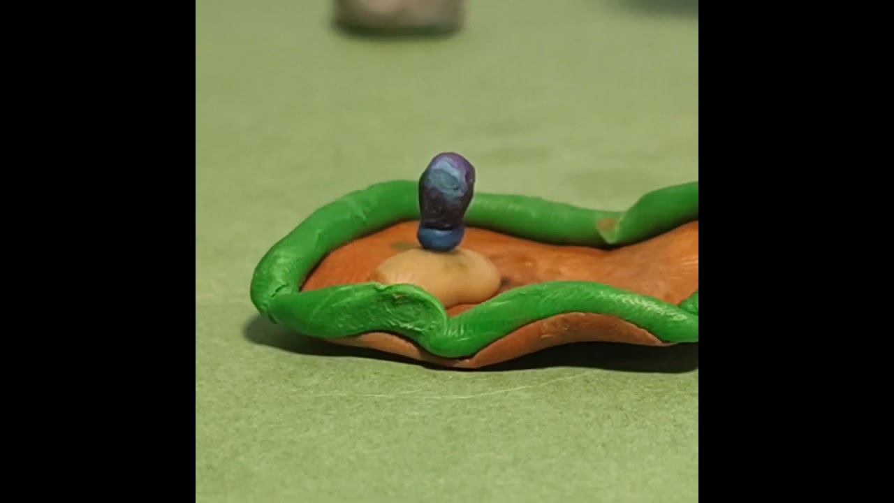 Лайфхак (как испортить жизни муравью) 