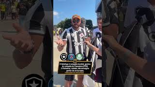 Torcedor Do Botafogo Provoca O Palmeiras: