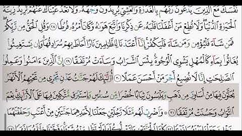 (18) سورة الكهف | شيخ الزين محمد احمد