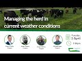 Managing the herd in current weather conditions  webinar