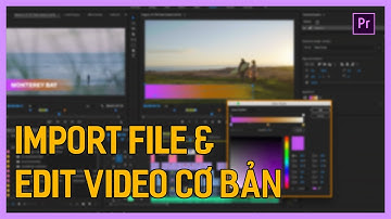 Học dựng phim bằng Adobe Premiere CC 2020 P2 | Import File & Edit video cơ bản | Tú Thanh Blog