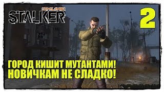 STALKER online - Выживание #2 ПАУКИ УБИЙЦЫ! STALKER online - Выживание #2 ПАУКИ УБИЙЦЫ!