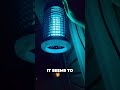 Endbug Bug Zapper Outdoor with LED Light