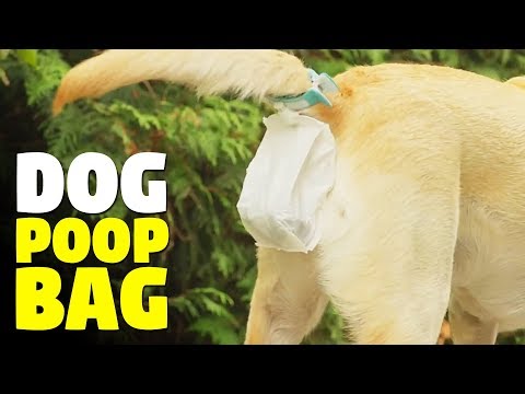 Dog Poop Bag | Piqapoo The Dog Poop Collector