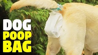 Dog Poop Bag | Piqapoo The Dog Poop Collector