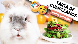 TARTA DE CUMPLEAÑOS para CONEJOS 🎂❤️🐰 ¡Tambor cumple 8 años!