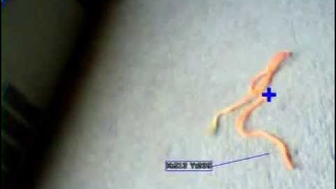 Orange object tracking using roborealm