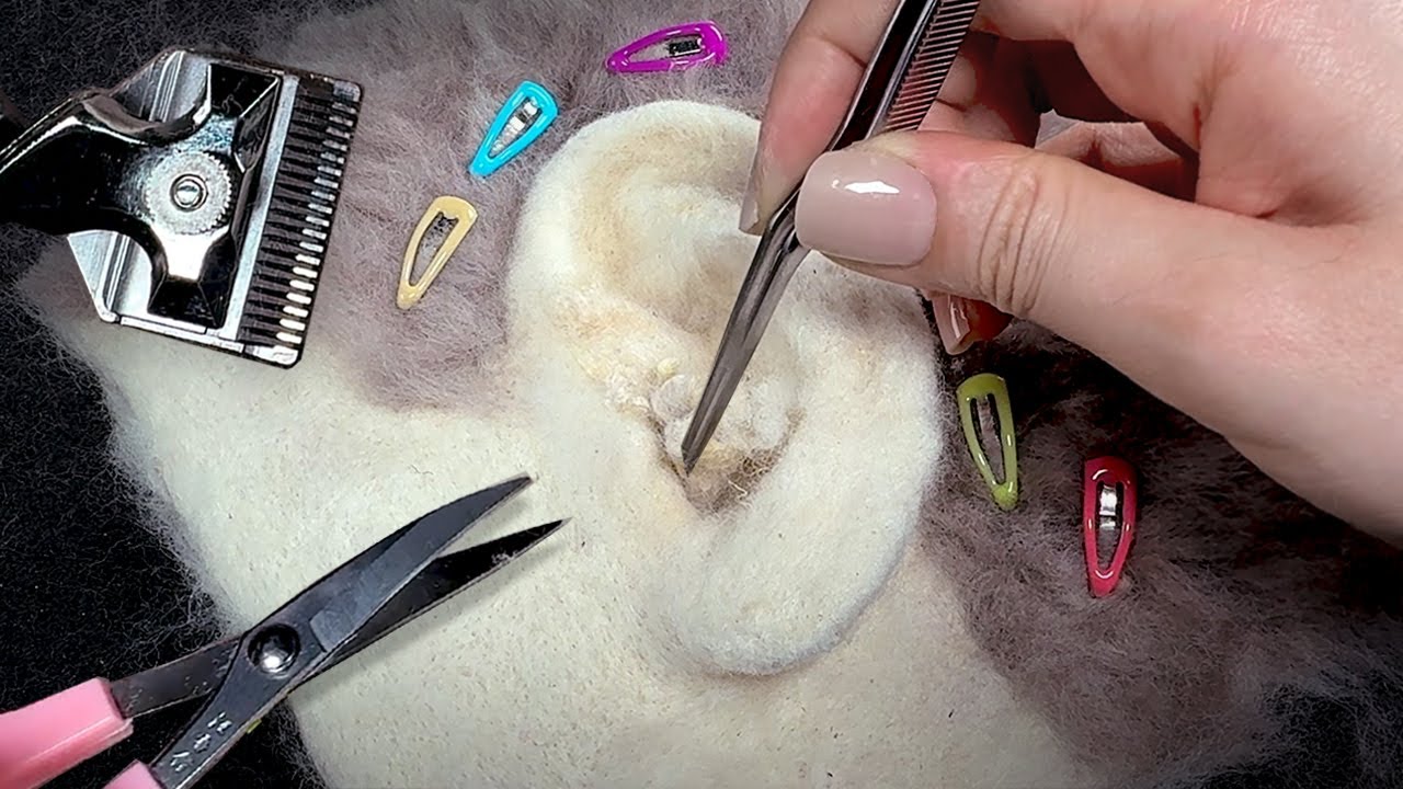 대AI시대, 한땀 한땀 찔러 만든 양모펠트 귀 ASMR