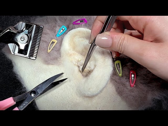 대AI시대, 한땀 한땀 찔러 만든 양모펠트 귀 ASMR