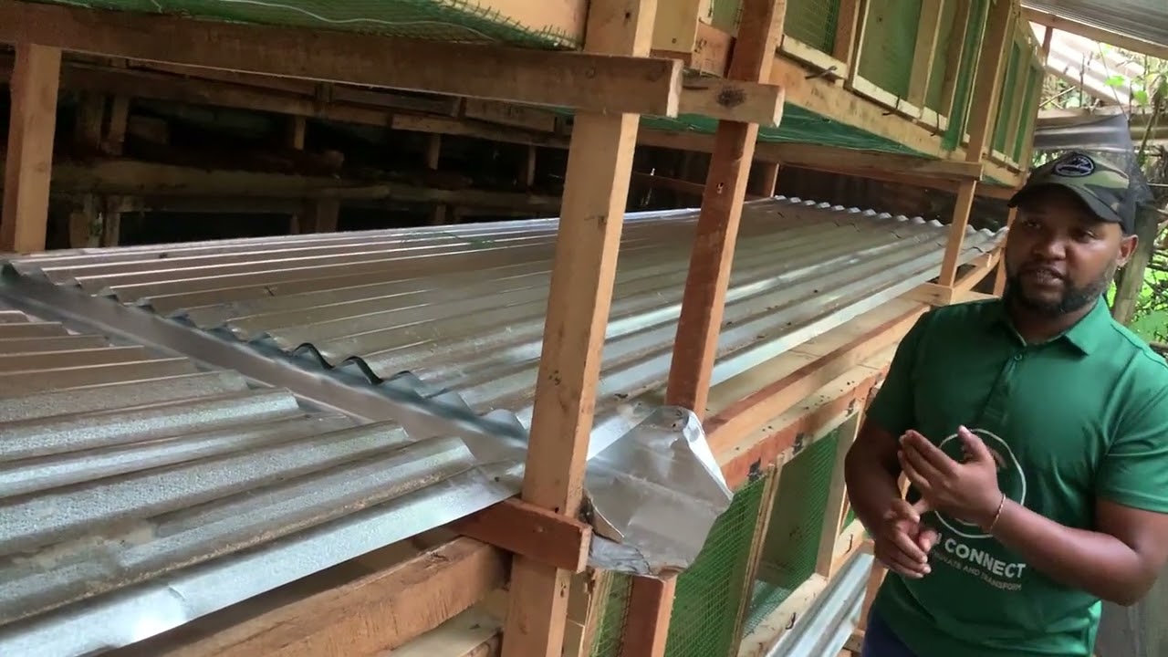 Duhamagare turitaba.