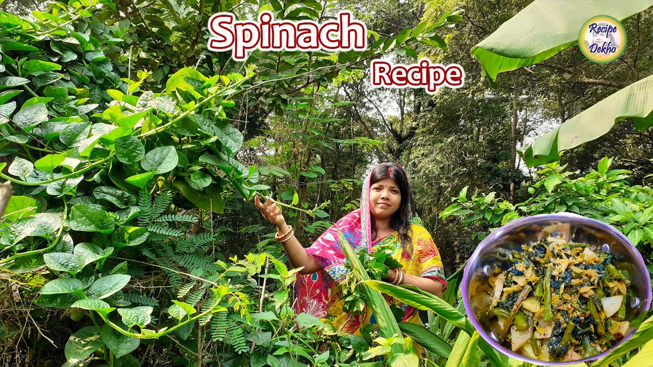 Poi saag ke special sabji Source of iron Malabar spinach recipes