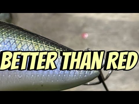The Prespawn Crankbait Color That Outproduces Red…