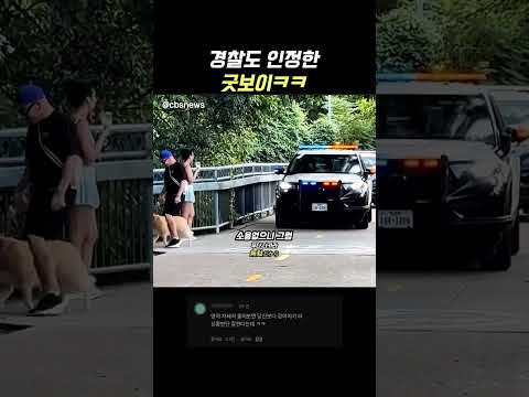 경찰도 인정한 굿보이ㅋㅋ