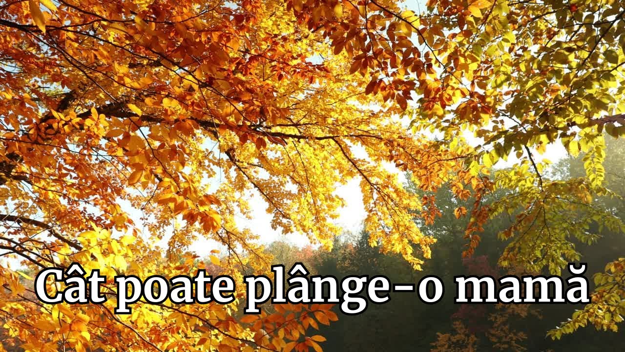 Cât poate plânge o mamă – Cântec emoționant despre dragostea și dorul unei mame #dorsiritm