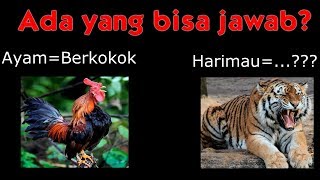 Video ini hanya untuk buat seru seruan saja tidak ada maksud
menyinggung seseorang ataupun kelompok, mohon maaf jika kesamaan nama.