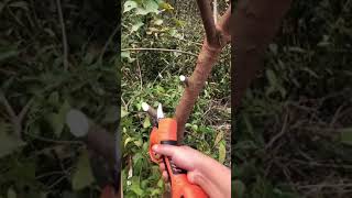 Idk Why I Want Need These I Just Know I Want Them    Via  Ukalbaa1 