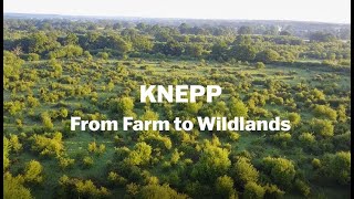 Knepp - From Farm to Wildlands