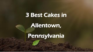 3 Best Cakes in Allentown, Pennsylvania | Pastry Shops