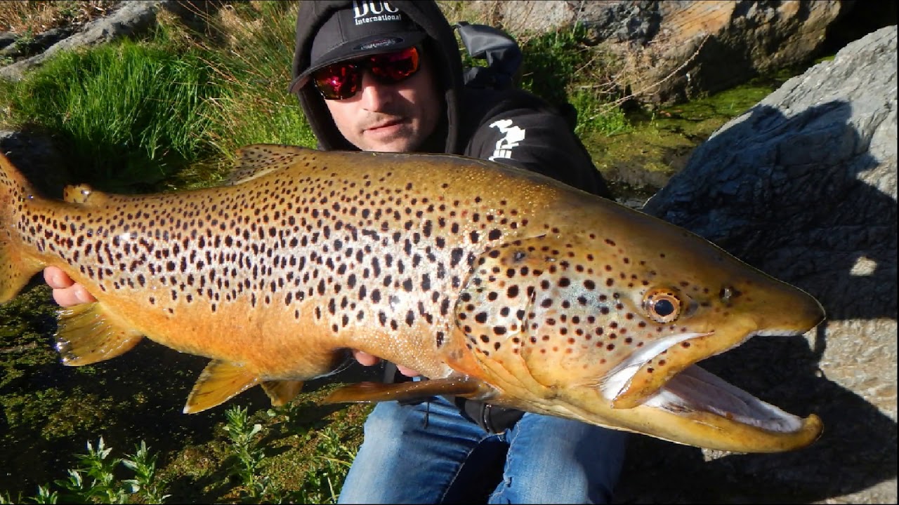 Pyrénées Fishing - Trip Pêche de la truite au leurre 