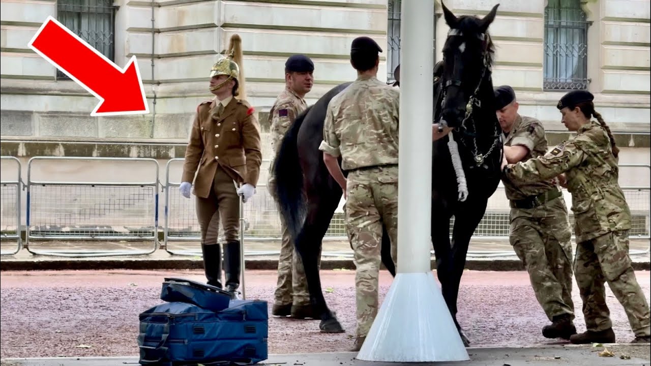 20 INAPPROPRIATE MOMENTS WITH ROYAL GUARDS