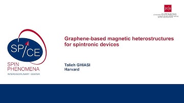 Talks - Young Research Leaders Group Workshop 2024 - Talieh GHIASI, Harvard