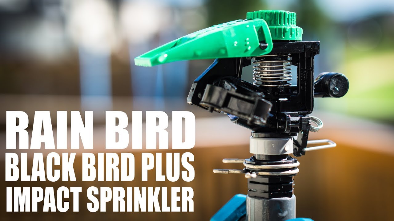 Mini Bird® P5R PLUS - Professional Grade Plastic Impact Sprinkler