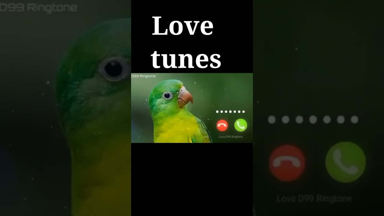 Best love Flute Ringtone ll New Ringtone Ringtone ll Ringtones Masti