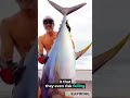 "Why Bluefin Tuna Is So Expensive | Rare &amp; Costly Fish Explained",
