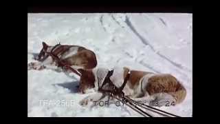 Passport To Snowmansland 1958