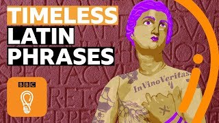 5 Latin phrases that are still meaningful today | BBC Ideas