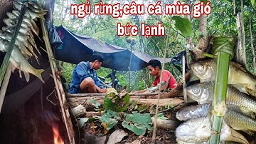 trải nghiệm trong rừng,ngủ rừng,câu cá,cá gác bếp,thức ăn hoang dã khác|phúc làng tv