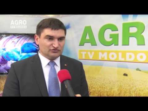 Video: Centrul De Expoziții Mega