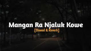 Mangan Ra Njaluk Kowe 'Nayla Fardila'  [Slowed & Reverb] || Alanmas♪