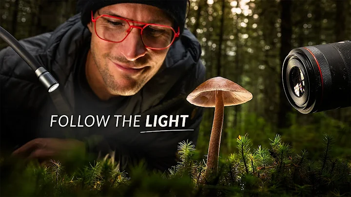 A New Way to Compose Macro Shots with Light